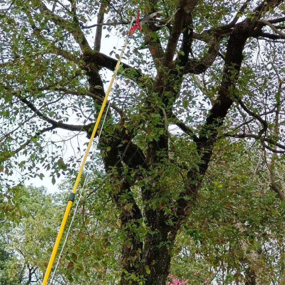 Telescopic pole 005